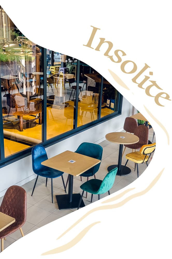 Forme organique contenant une photo des tables de la taproom de Damraz avec le mot "Insolite" longeant la forme en haut.