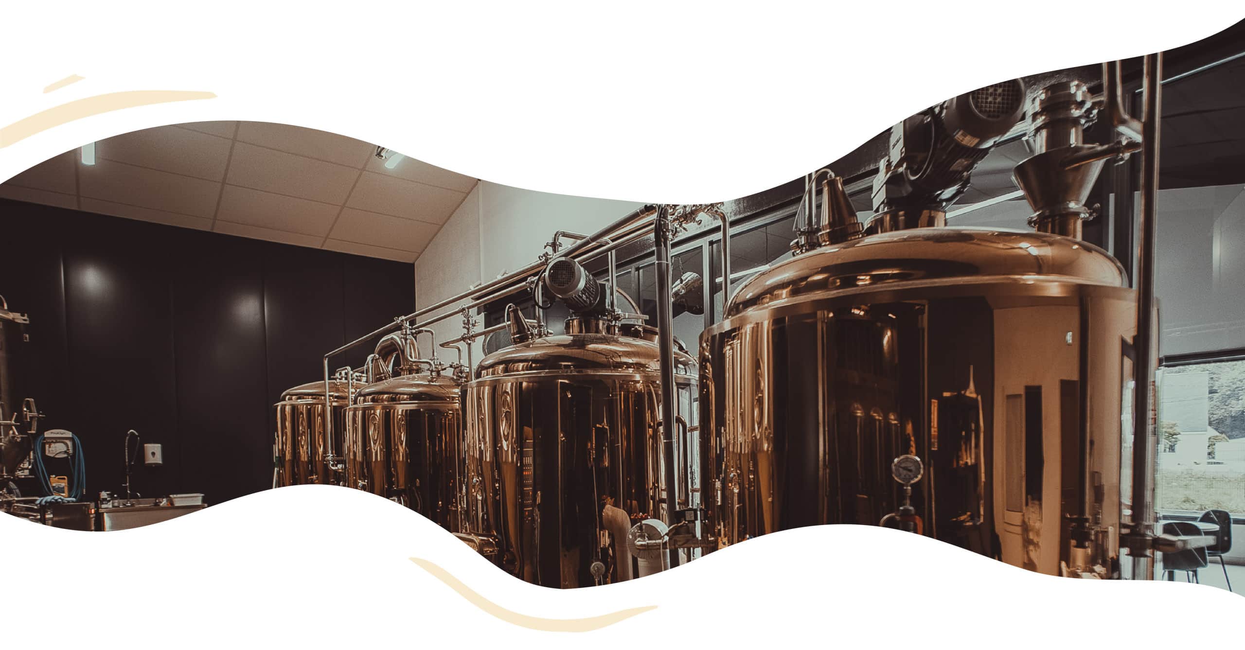 Forme organique contenant des photos des cuves de bières.