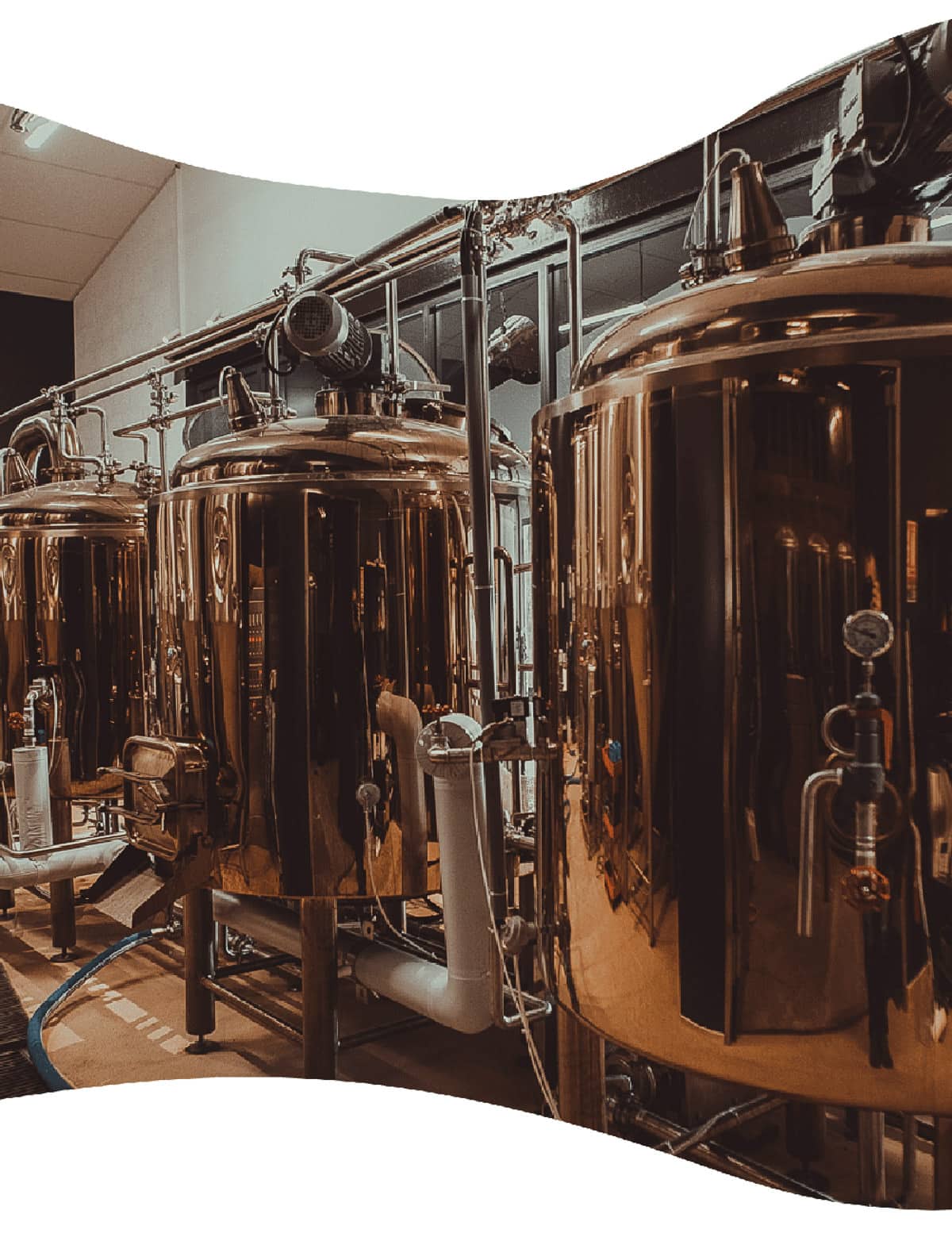 Forme organique contenant des photos des cuves de bières.