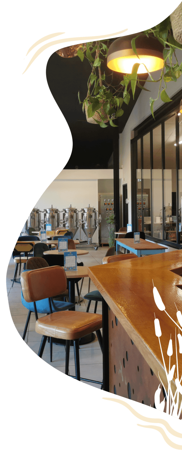 forme organique contenant une photo de la taproom de Damraz.